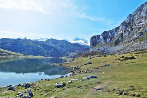 Small-Group Excursion to the Lakes of Covadonga and Cangas de Onís Departure from Gijón