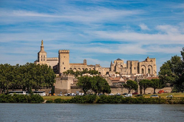 Visit Avignon Private Guided Walking Tour in Avignone, France