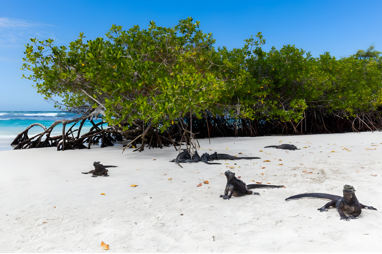 Santa Cruz in One Day with Arrival Transfer