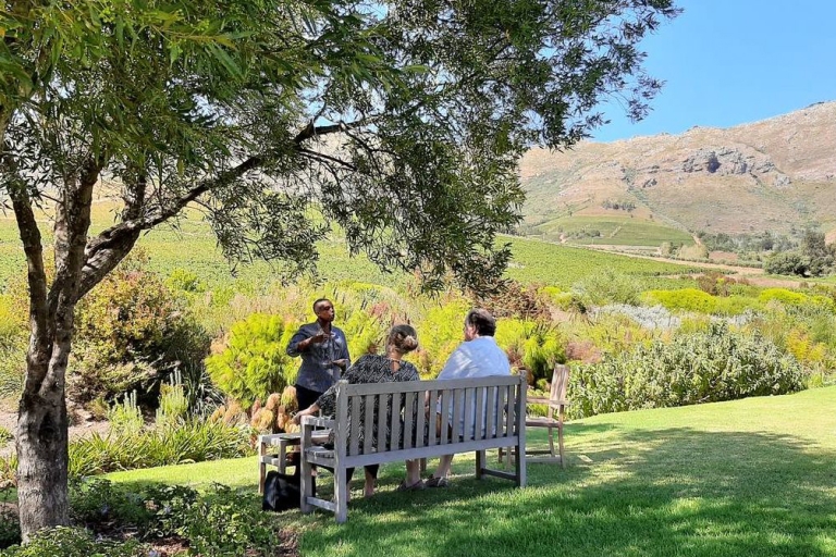 De Cape Town et Stellenbosch: visite privée de vin et dégustation