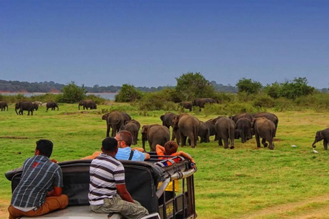Sigiriya to Pasikudah Private Transfer via Minneriya Safari