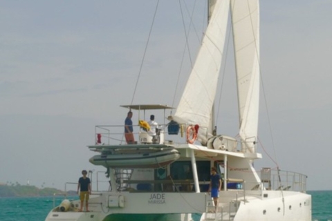 Crucero de una semana por la Naturaleza de la Costa Sur