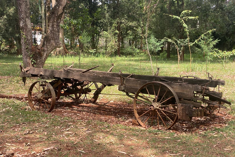 Nairobi: National Museum, Illusions & Karen Blixen Tour