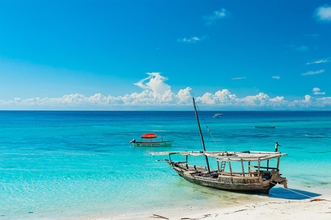 Tanzania: 10-Day Safari and Zanzibar Beach Experience