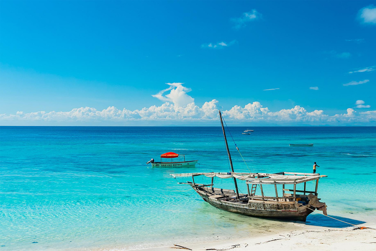 Tanzania: 10-Day Safari and Zanzibar Beach Experience