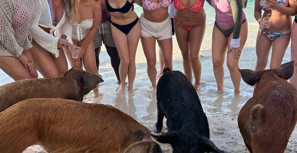 Nassau: Full-Day Party Catamaran with Private Beach & Lunch