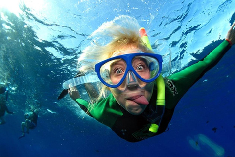 San Diego: Full-Day Snorkeling Gear Rental Package