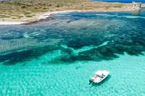Von Stintino: Halbtagestour mit dem Schnellboot nach Asinara
