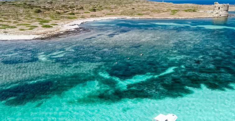 Asinara National Park, Asinara - Book Tickets & Tours | GetYourGuide