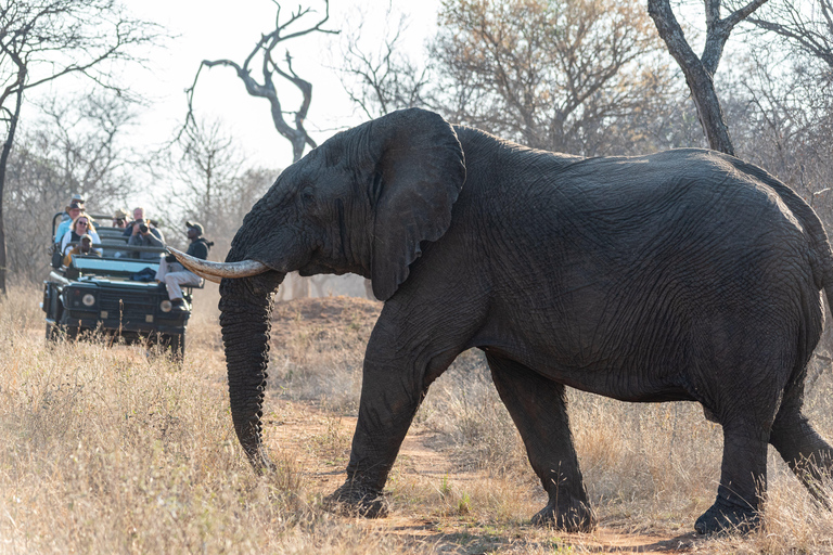 Tsavo Nationaal Park, Kenia: 5-daagse safari5- Dag Nationale Parken Tsavo Oost & West Kenia