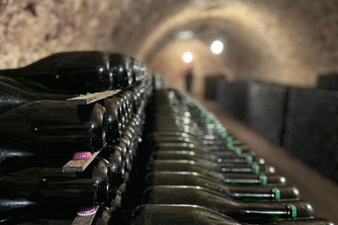 من ريمس/إبيرناي: تجربة الطعام والشمبانيامن إيبرناي: تجربة الطعام والشمبانيا