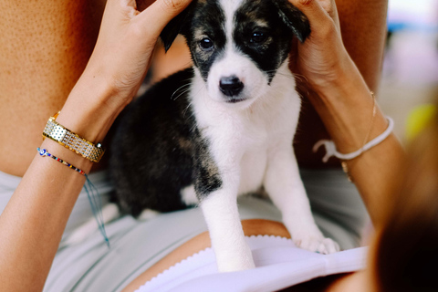 Yoga para cachorros felices en Canggu