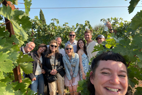 Sonoma Valley: Guided Winery Tour with Picnic Lunch