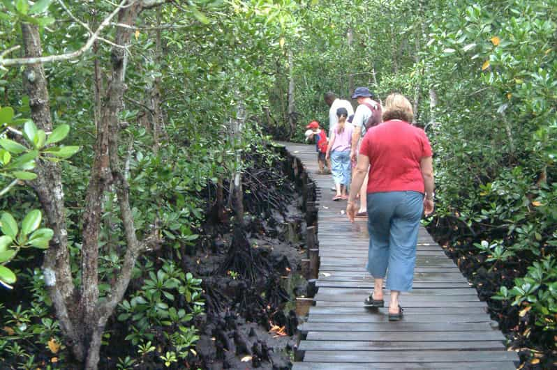 ZANZIBAR: Jozani forest & Stone town Walking tour Full Day. | GetYourGuide