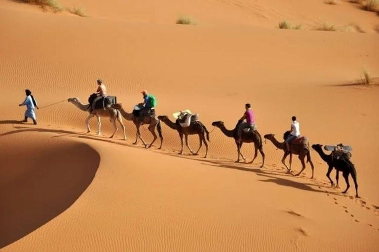 Djerba: Całodniowa wycieczka do Ksar Ghilane i okolicznych wiosekDjerba: Podróż dookoła Ksar Ghilane i wiosek