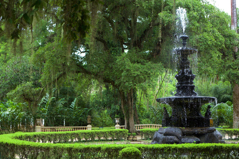 Rondleiding Botanische tuin &amp; Lage Park in het hart van Rio