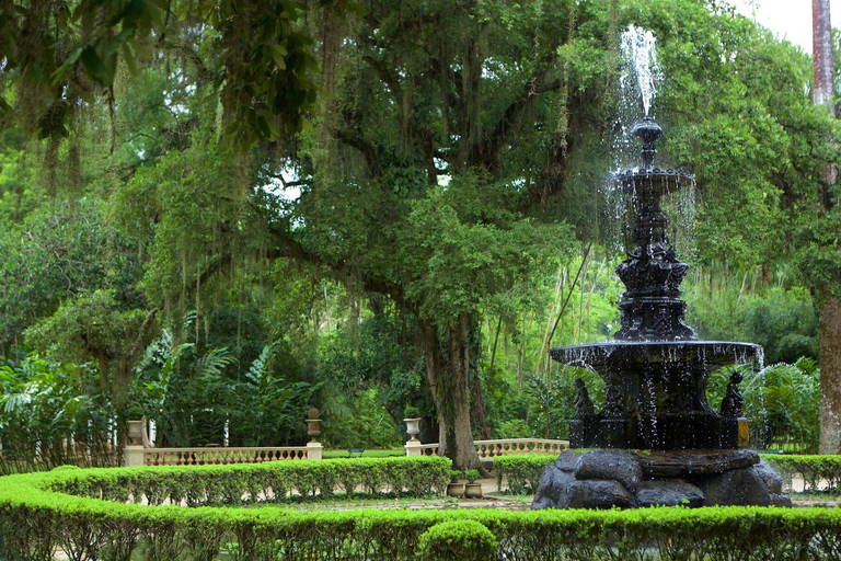 Tour guidato del Giardino Botanico e del Parco Lage nel cuore di Rio