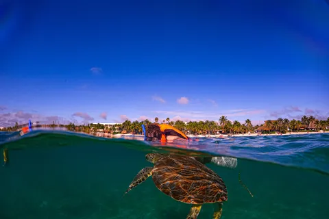 Akumal : snorkeling with local guides