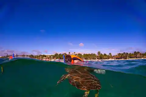 Akumal : snorkeling with local guides