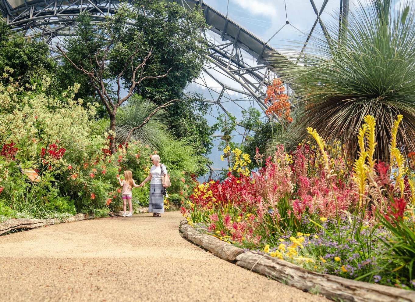 Cornwall: Eden Project entrébillet