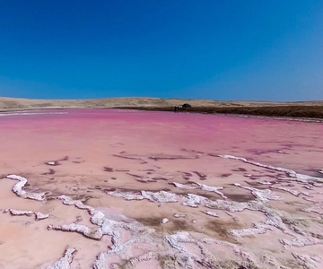 Da Paracas: Tour privato alla Laguna Rosada, Playa Roja e La Catedral