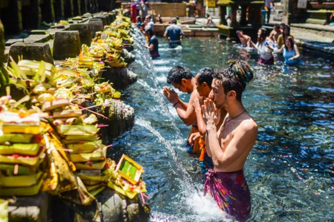 Ubud: Apenbos, Rijstterras, Schommel, Watertempel