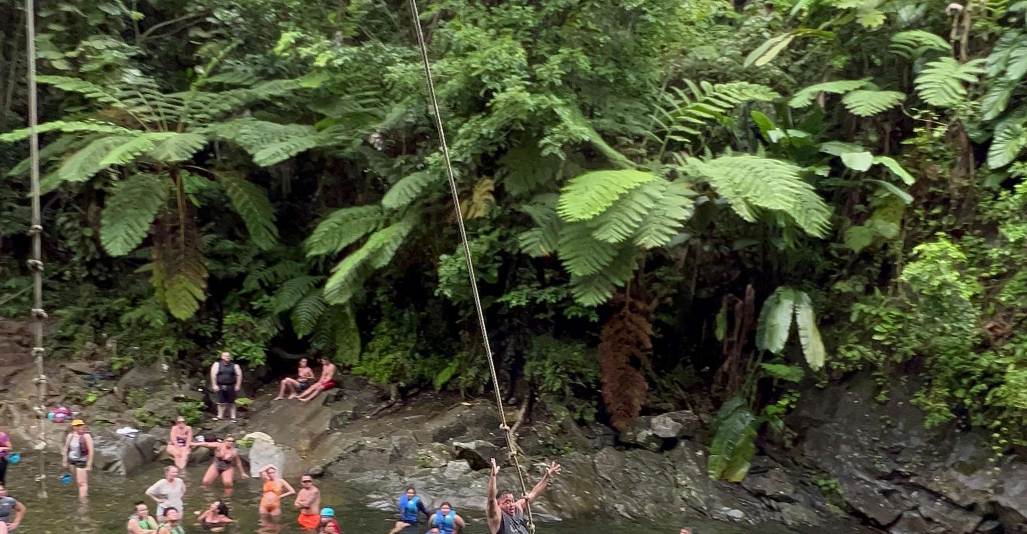 El Yunque Forest Water Diapositives et Cordeswing Tour - Housity