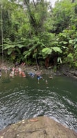El Yunque Forest Water Slides and Ropeswing Tour - Housity