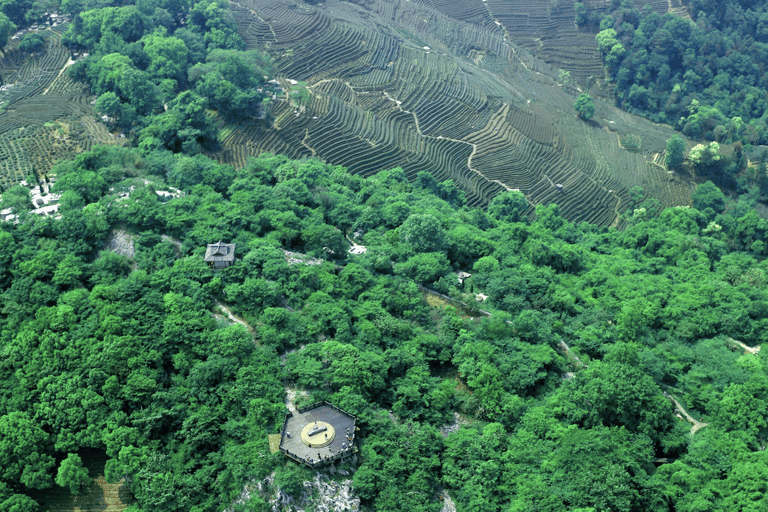 Hangzhou: Longjing Tea Culture & Nine Creeks Day Tour