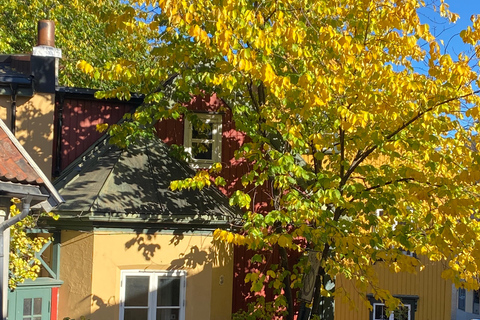 Oslo: Private Vintage Walking Tour with Photos Private Vintage Oslo Walk & Aesthetic Photos