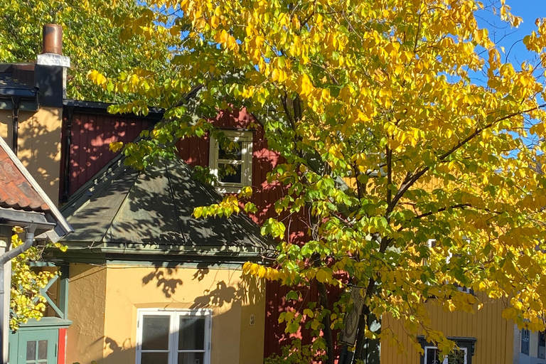 Oslo: Private Vintage Walking Tour with Photos Private Vintage Oslo Walk & Aesthetic Photos