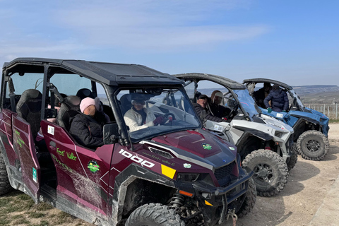 Champagne vineyards: 2-hour guided tour of the vineyards in a Buggy