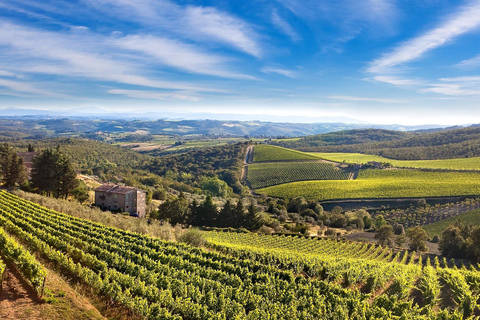 Private Pisa, Florence and Chianti Wine Tasting from Livorno