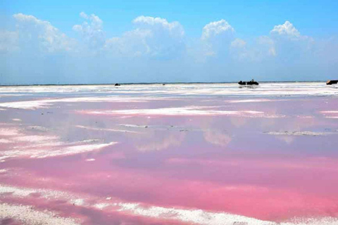 Carthagène : Visite du volcan Totumo et de la mer rose