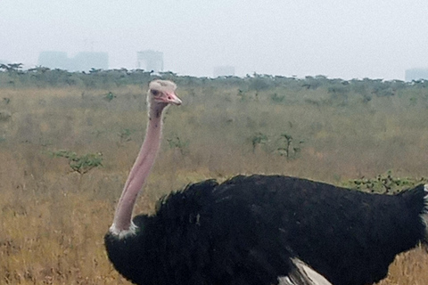 Nairobi: Hell's Gate & Crescent Island 2-Day Tour