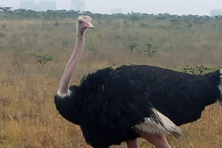 Nairobi: Hell's Gate & Crescent Island 2-Day Tour