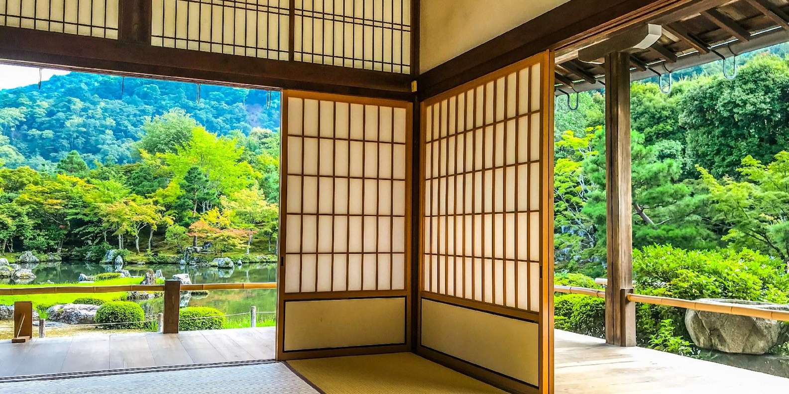 Kyoto experience — temples, geisha, bamboo grove — image 43