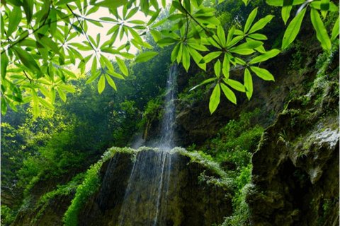 Zhangjiajie Glass Bridge & Tea Picking Small Group Day Trip