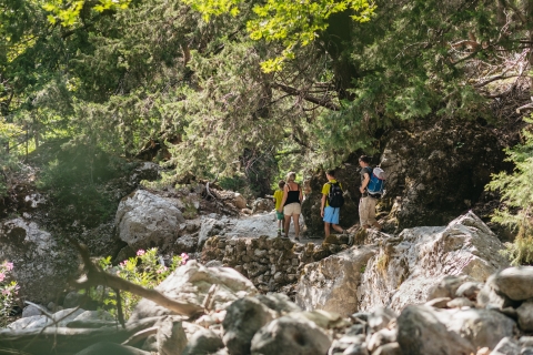 Vanuit Rethymno: Samaria Gorge-dagtocht met pick-upVanuit Gerani, Petres, Dramia, Kavros en Georgioupolis