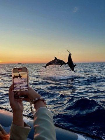 Bali: Delfintour bei Sonnenaufgang in Lovina, Schnorcheln & GoPro-Option