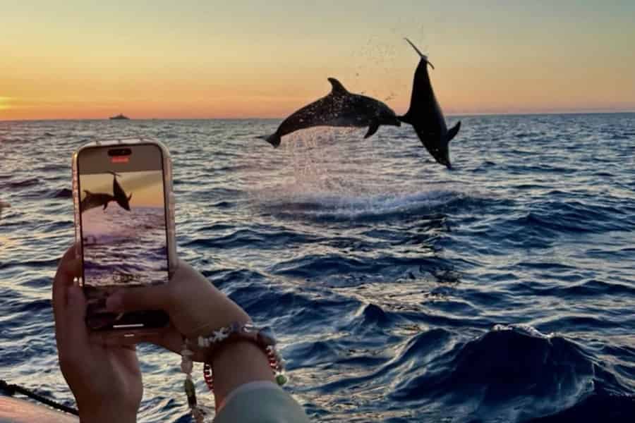 Bali: Dolphin Watching und Schnorcheln in Lovina (GoPro-Optionen). Foto: GetYourGuide Bali: Dolphin Watching und Schnorcheln in Lovina (GoPro-Optionen). Foto: GetYourGuide