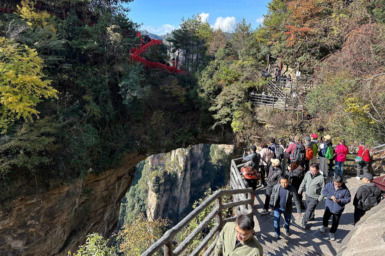 Zhangjiajie: 2-Day National Forest Park & Glass Bridge Tour