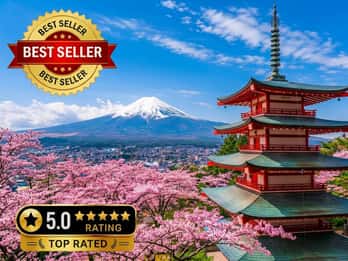 Private Mt Fuji and Hakone Tour with Custom Itinerary
