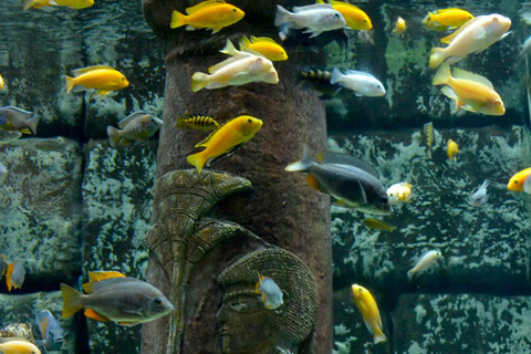 Antalya: Aquarium Tour with Hotel Pickup & Combo Options Antalya Aquarium & Wax Museum Entry Ticket