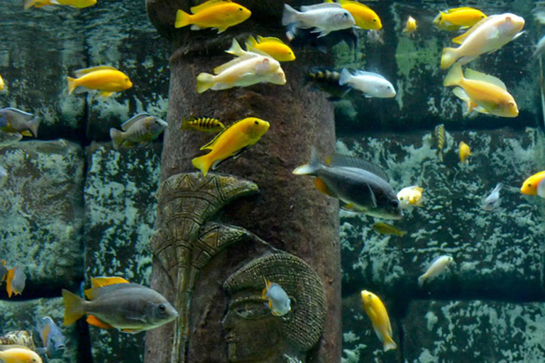 Antalya: Aquarium Tour with Hotel Pickup & Combo Options Antalya Aquarium & Wax Museum Entry Ticket