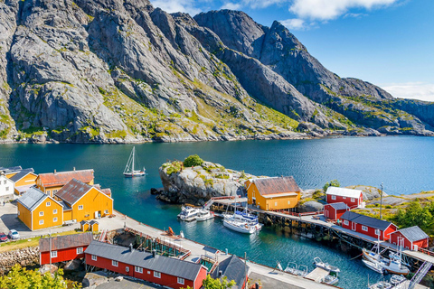 Vanuit Svolvær: Reine &amp; Å Lofoten West-eiland Dagvullende tour