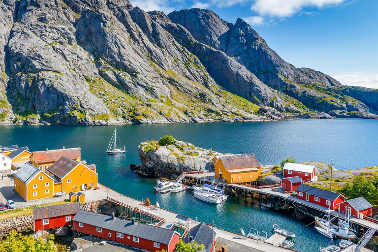 Vanuit Svolvær: Reine &amp; Å Lofoten West-eiland Dagvullende tour