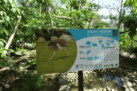 Cebu Safari: Experience Wildlife Up Close