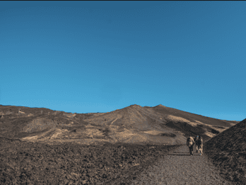 Catania: Etna Morning Excursion with Tasting and Pickup