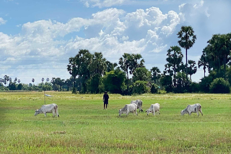 Phnom Penh: Private Transfer to Siem Reap with Driver Private Transfer: From Siem Reap to Phnom Penh with driver